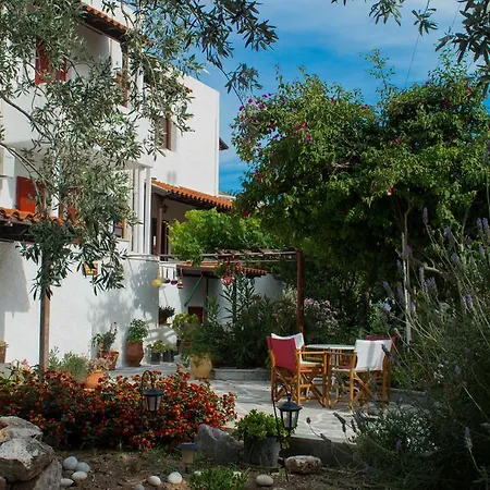 United Europe Hotel 3*